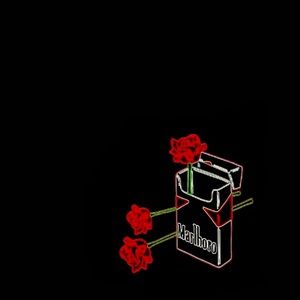 Meet your Posher, Shayne